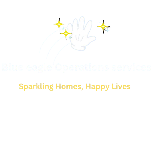 Blue Eagle Cleaning Logo Texas